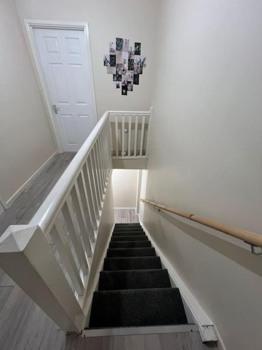 Haven - Beautiful 3 Bedroom House Ballynahinch Εξωτερικό φωτογραφία